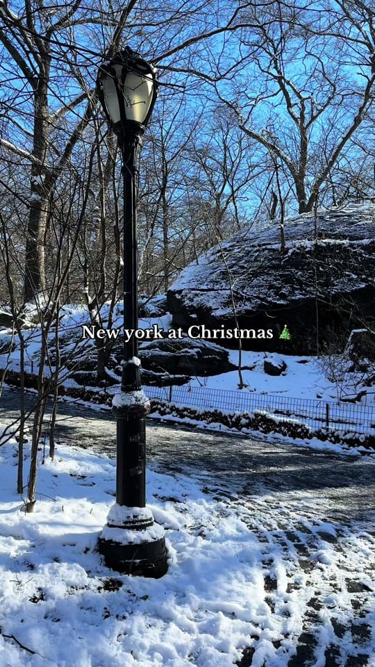 Post 8 by Abby Nichols | photographer on TikTok (video)