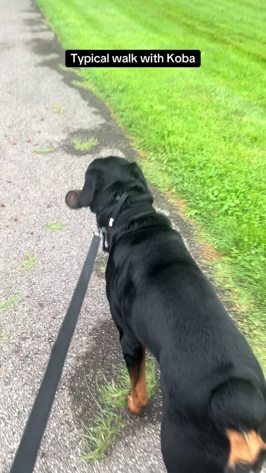 Post 5 by Kobatherottie on TikTok (video)