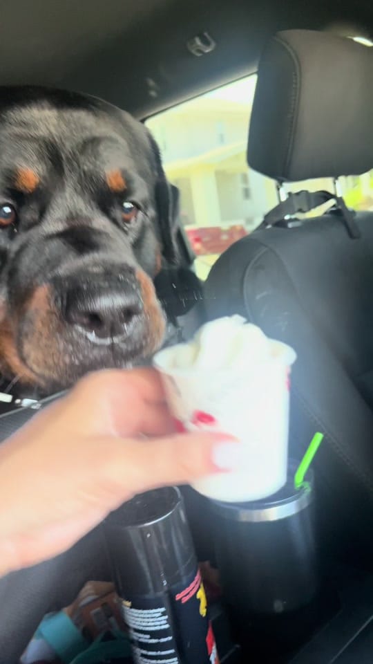Post 9 by Kobatherottie on TikTok (video)