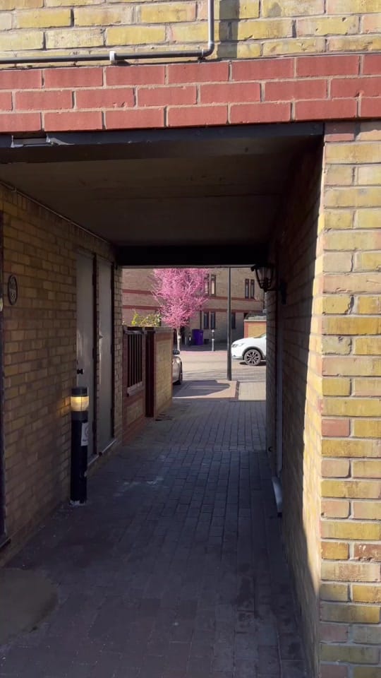 Post 4 by Jack Hall on TikTok (video)