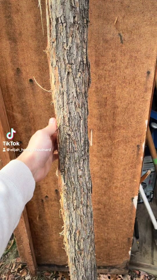 Post 10 by Elijah Chouinard on TikTok (video)