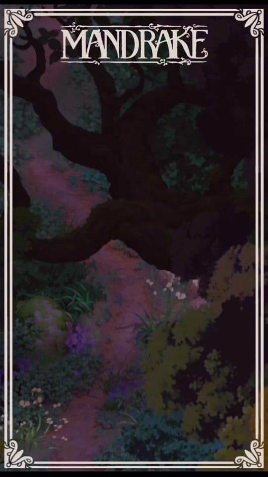 Post 9 by Failbettergames on TikTok (video)