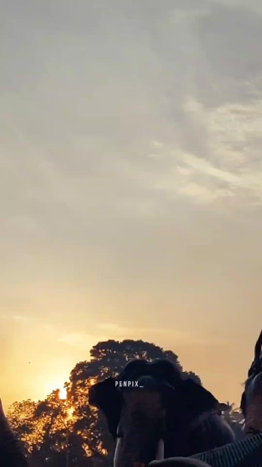Post 5 by Pranav Eashwar on TikTok (video)