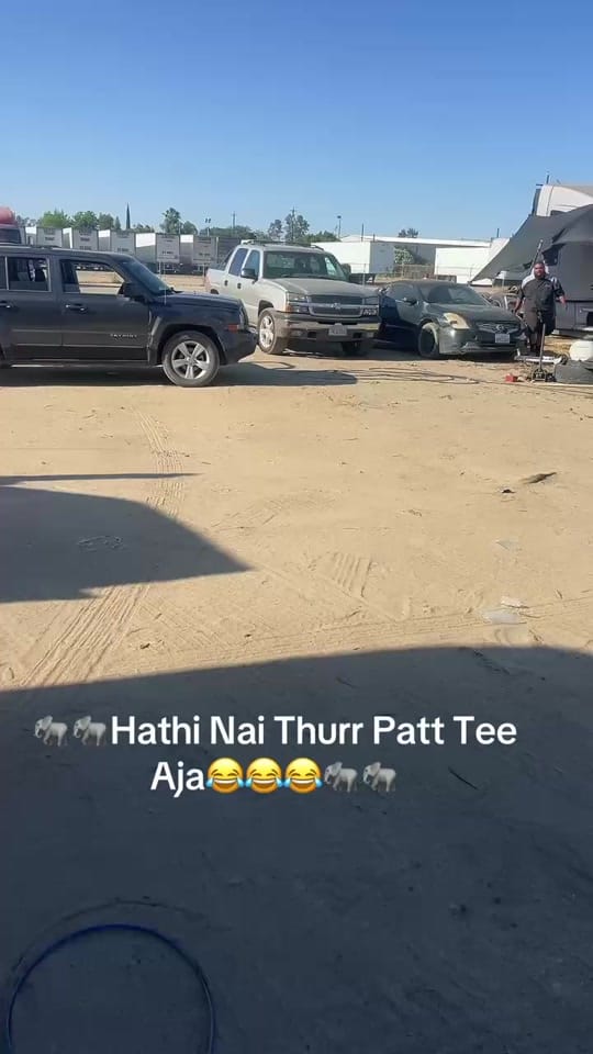 Post 8 by Hathi Singh on TikTok (video)