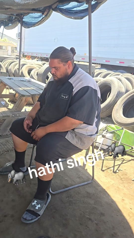 Post 5 by Hathi Singh on TikTok (video)