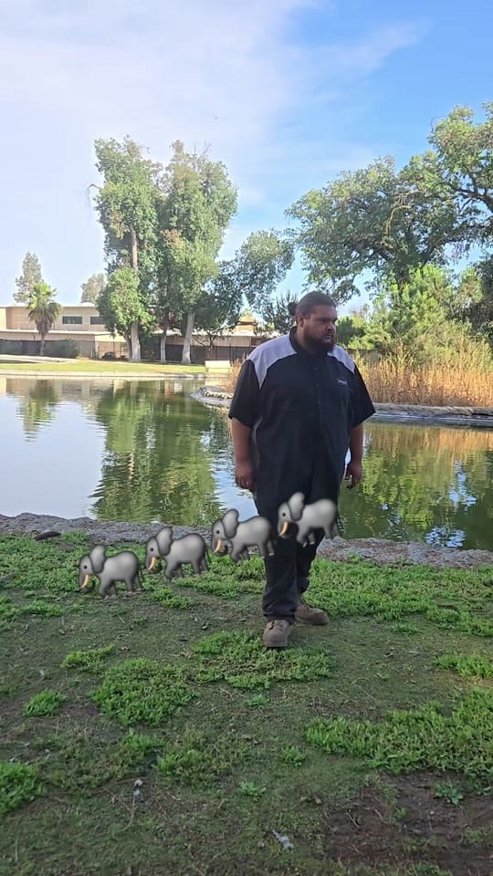Post 2 by Hathi Singh on TikTok (video)
