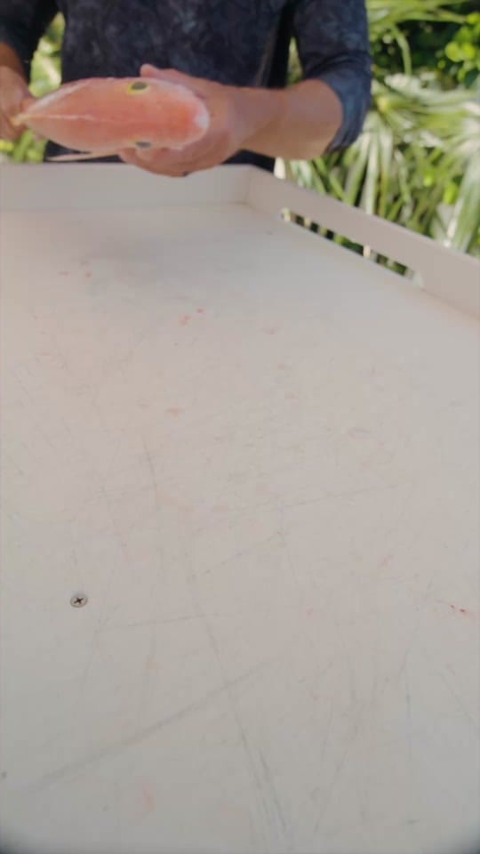 Post 8 by Dexter Outdoors on TikTok (video)