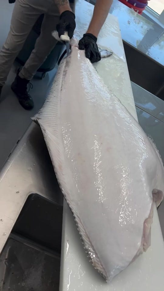 Post 3 by Dexter Outdoors on TikTok (video)