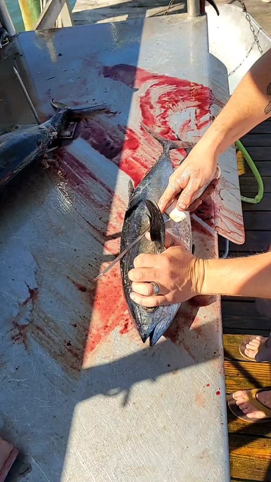 Post 5 by Dexter Outdoors on TikTok (video)