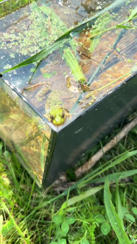 Post 3 by 🌻 on TikTok (video)