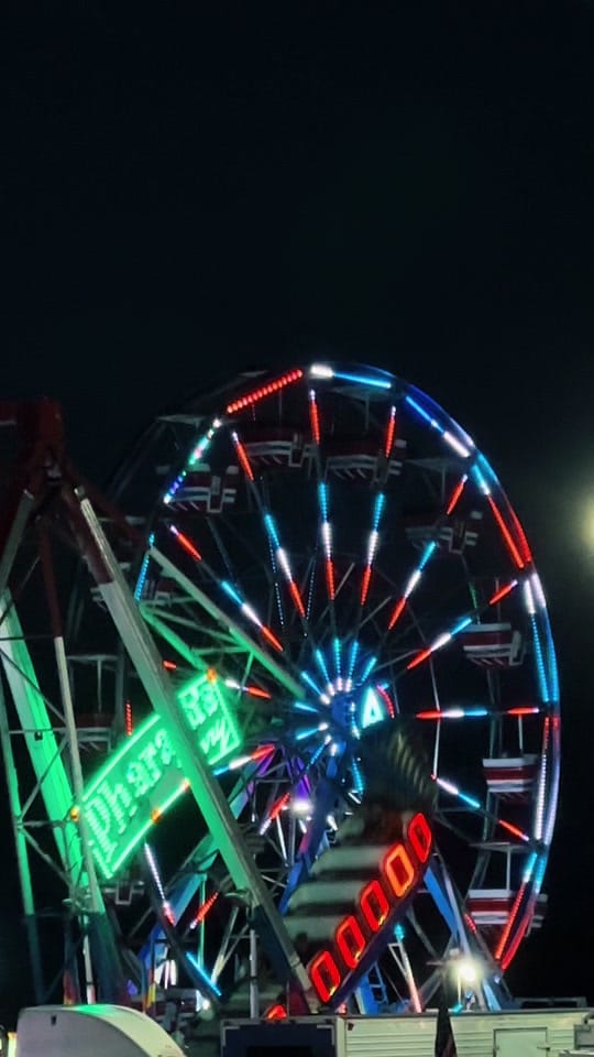 Post 5 by 🌻 on TikTok (video)