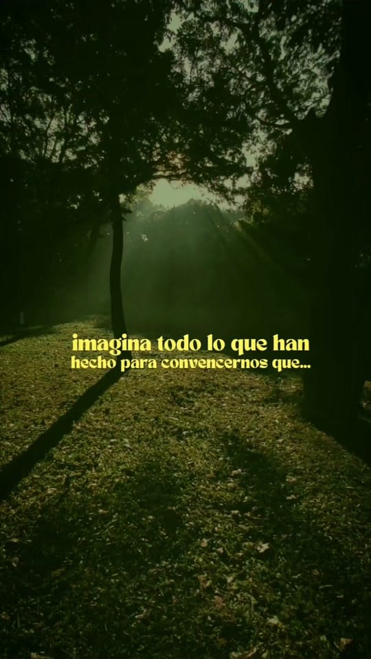 Post 3 by David Giménez on TikTok (video)