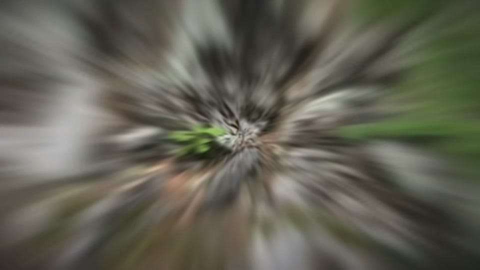 Post 1 by Enduro on TikTok (video)