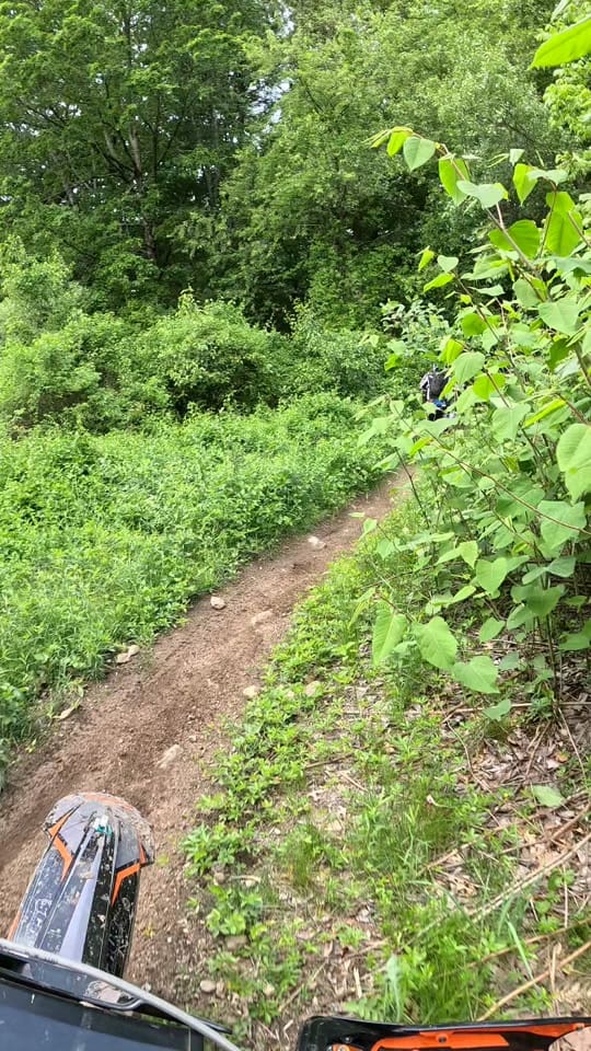 Post 3 by Enduro on TikTok (video)