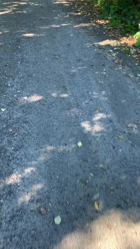 Post 9 by CKHoffPhotography on TikTok (video)