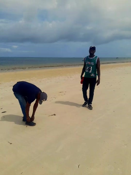 Post 9 by kiptooTeddy on TikTok (video)