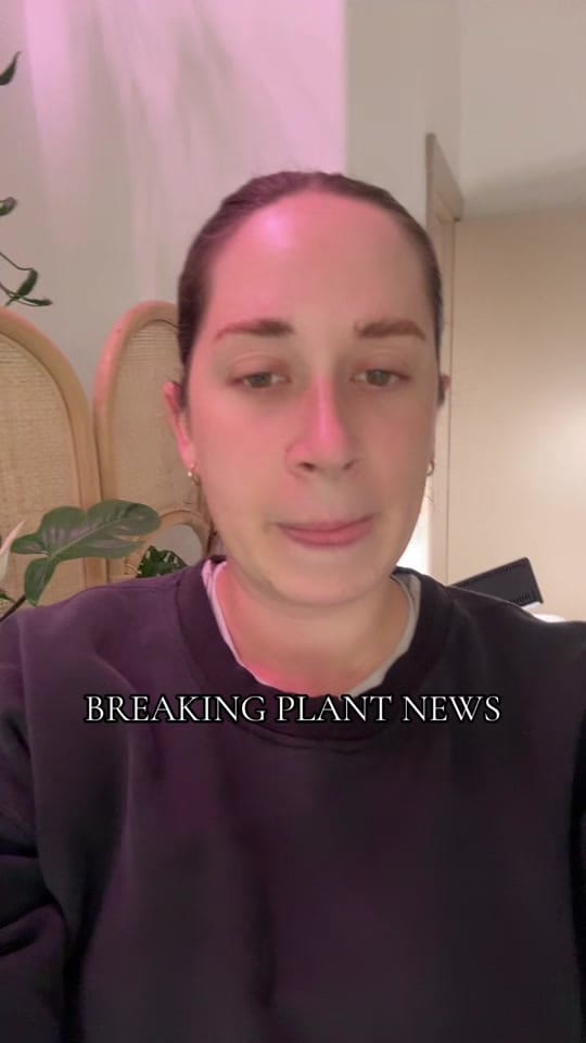 Post 10 by Lauren on TikTok (video)