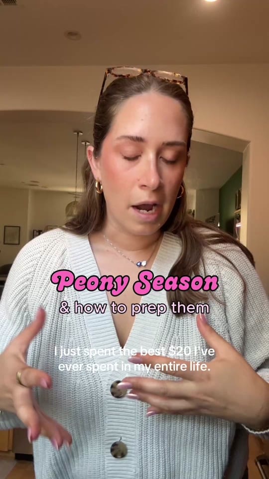 Post 3 by Lauren on TikTok (video)