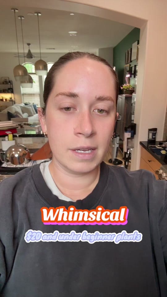 Post 6 by Lauren on TikTok (video)
