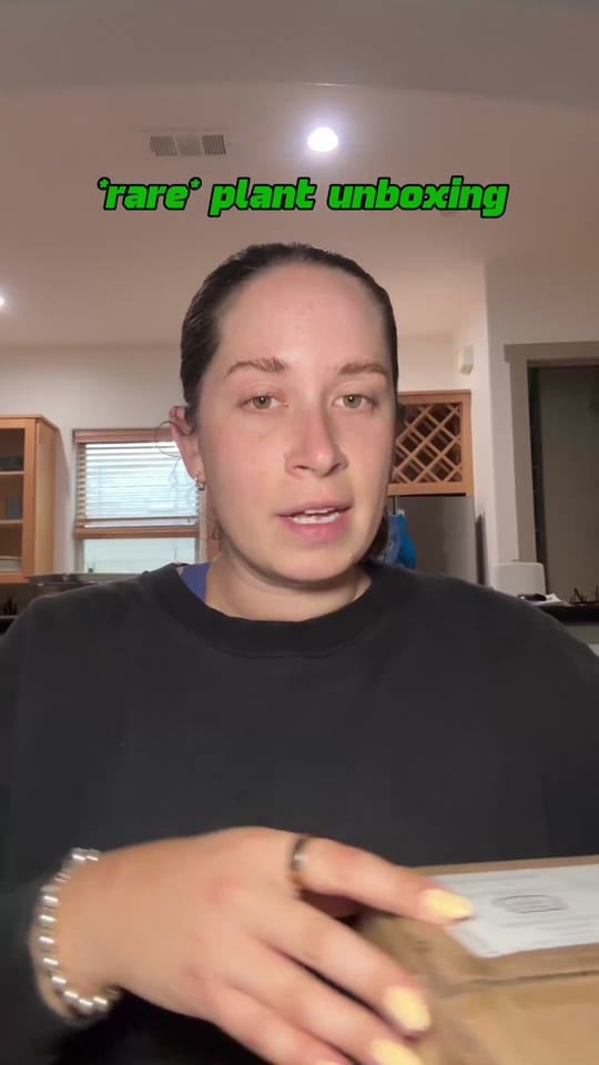 Post 1 by Lauren on TikTok (video)