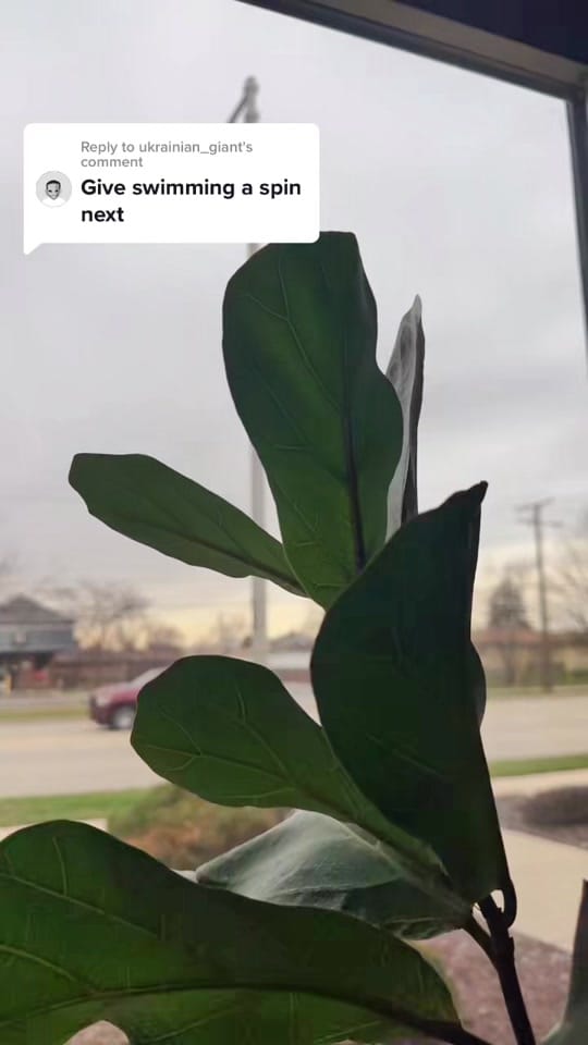 Post 8 by KNRTH on TikTok (video)