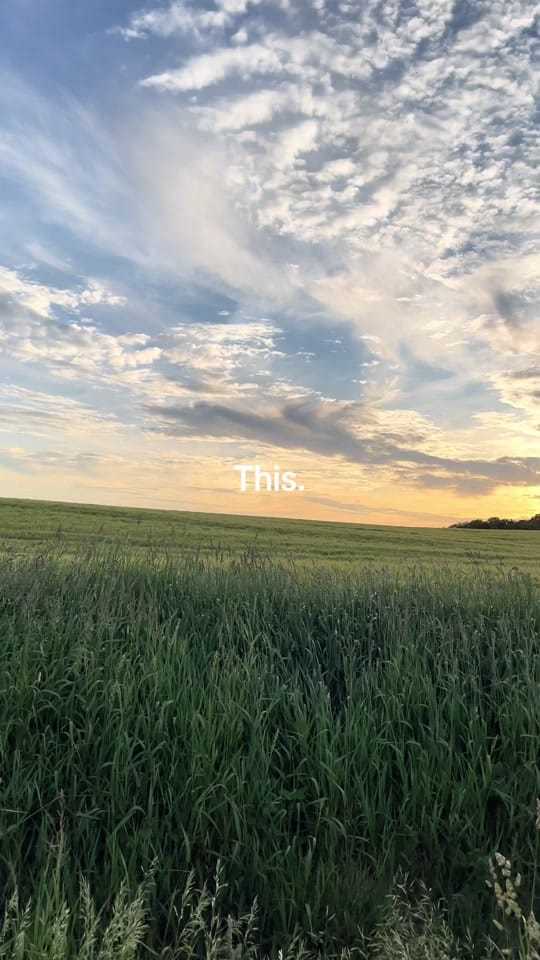 Post 3 by Mya Papaya on TikTok (video)