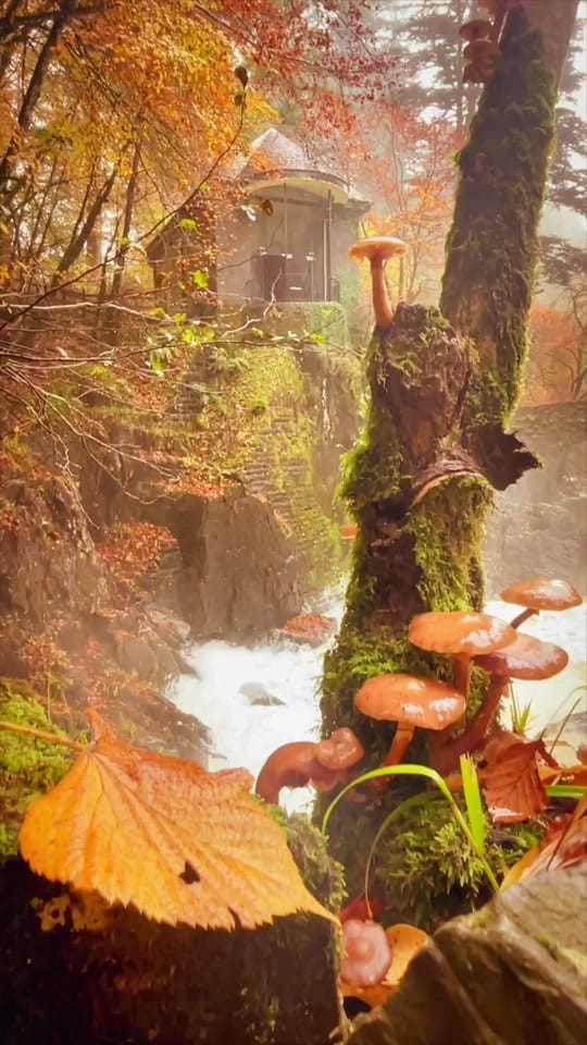 Post 10 by BGS_photography_Scotland on TikTok (video)