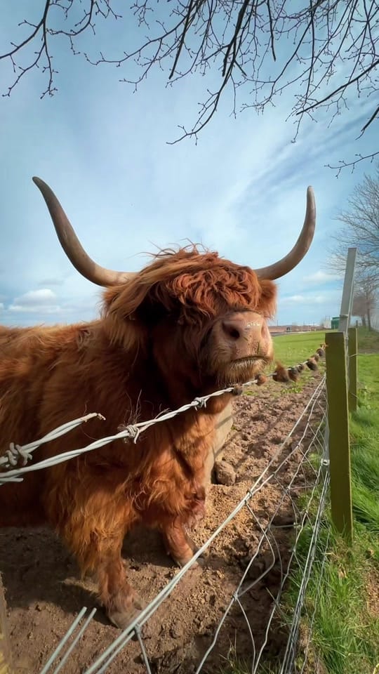 Post 4 by BGS_photography_Scotland on TikTok (video)