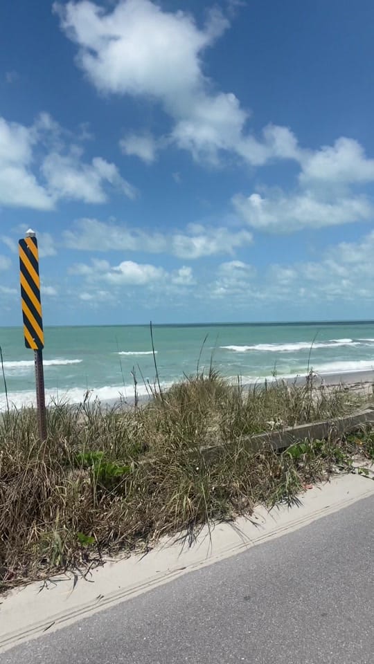 Post 4 by sarasotaexperience on TikTok (video)