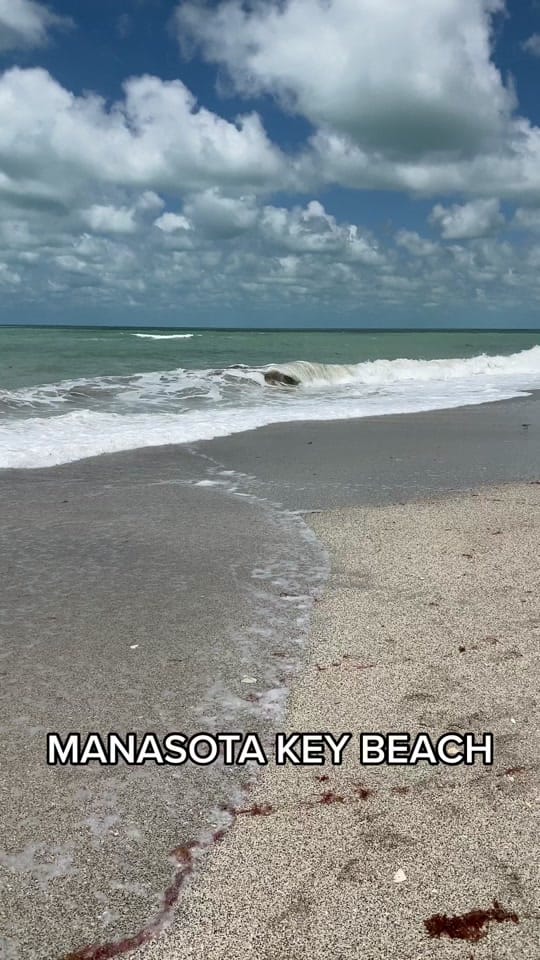 Post 6 by sarasotaexperience on TikTok (video)