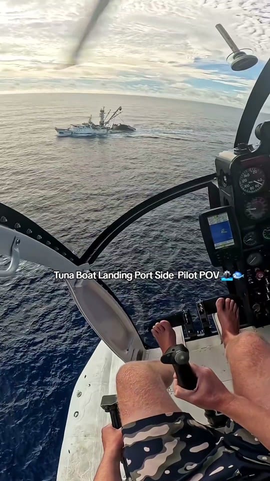 Post 8 by Saqib on TikTok (video)