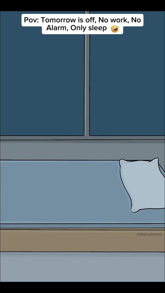 Post 4 by Darcy Toons on TikTok (video)