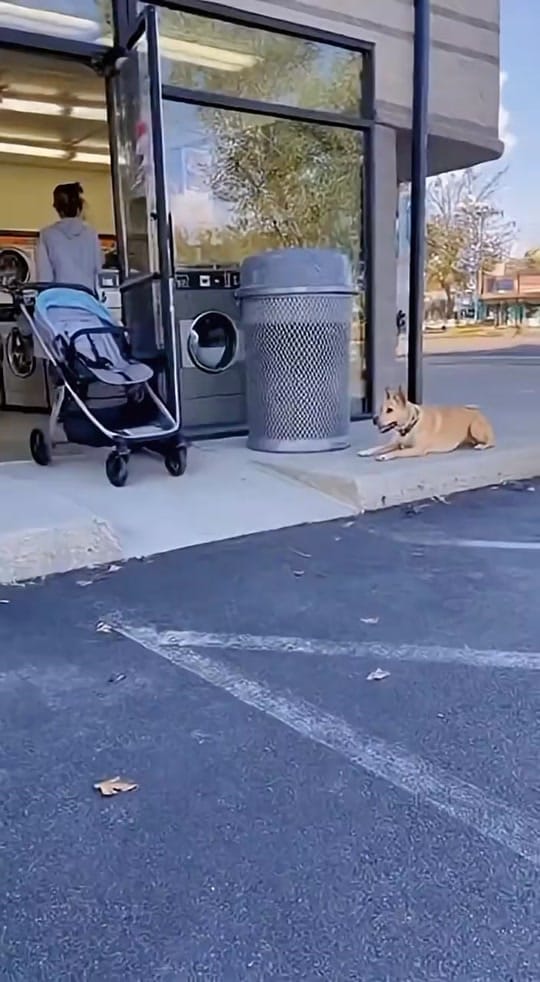 Post 8 by Ms.shorts on TikTok (video)