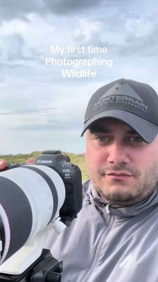 Post 1 by majestic_dublin on TikTok (video)