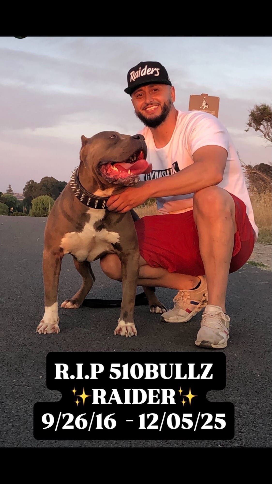 Post 8 by 510BULLZ on TikTok (video)
