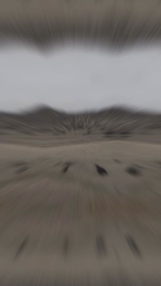 Post 9 by Hagen Gardner on TikTok (video)