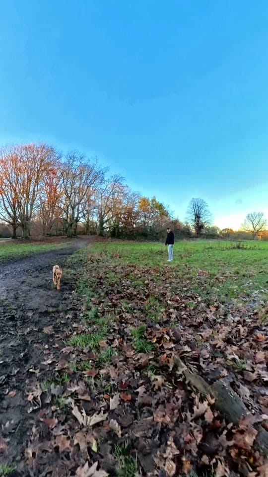 Post 8 by James Evans on TikTok (video)