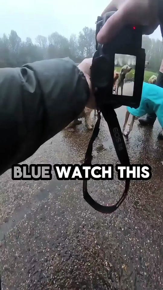 Post 3 by James Evans on TikTok (video)