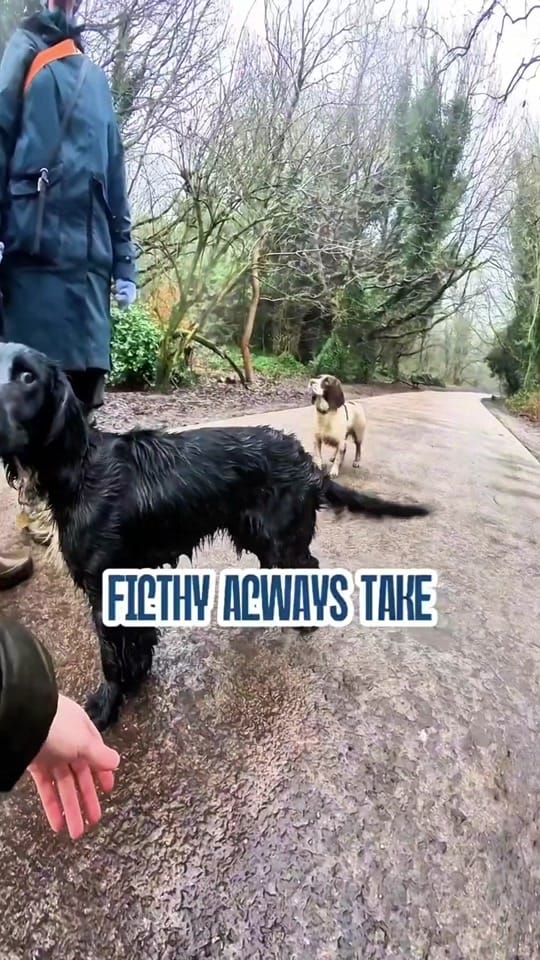Post 4 by James Evans on TikTok (video)