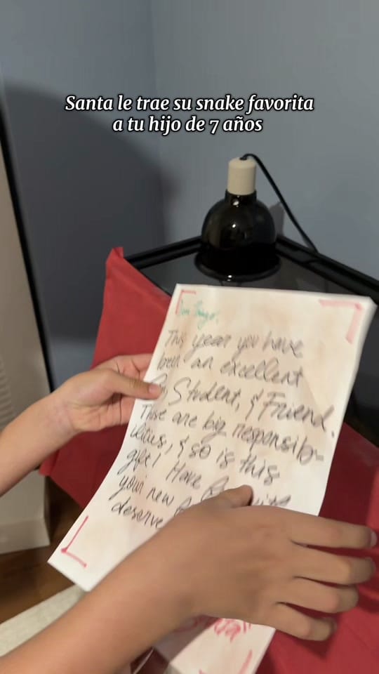 Post 3 by Steff Navas on TikTok (video)