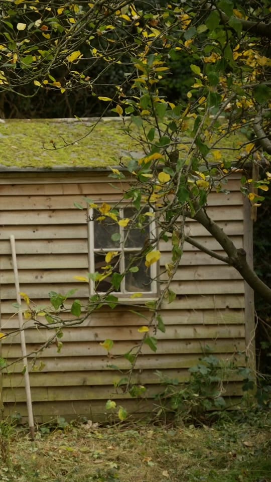 Post 2 by Ruairi Glasheen on TikTok (video)