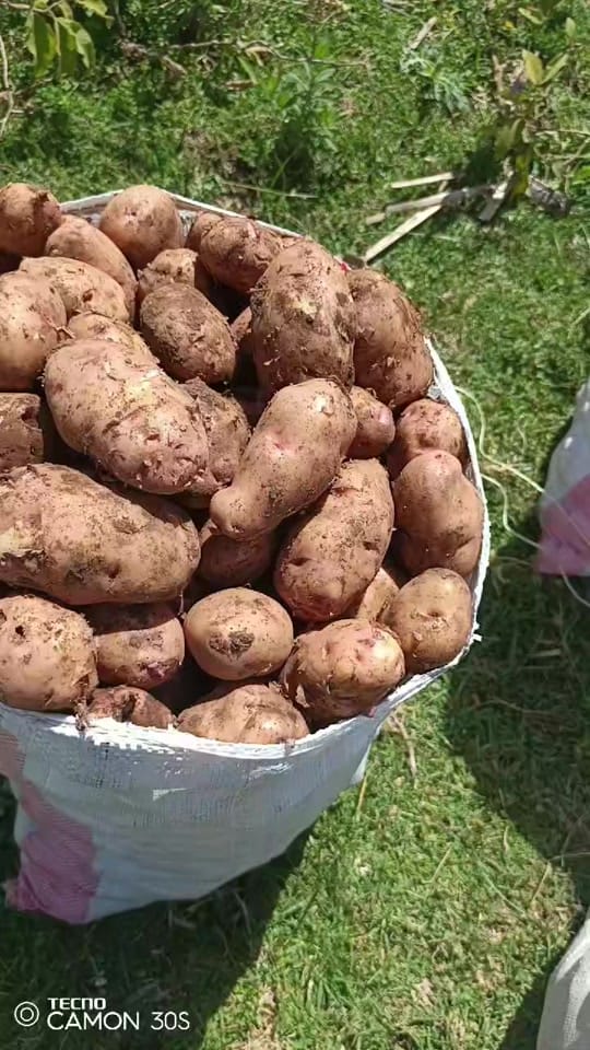Post 6 by wa kimani on TikTok (video)