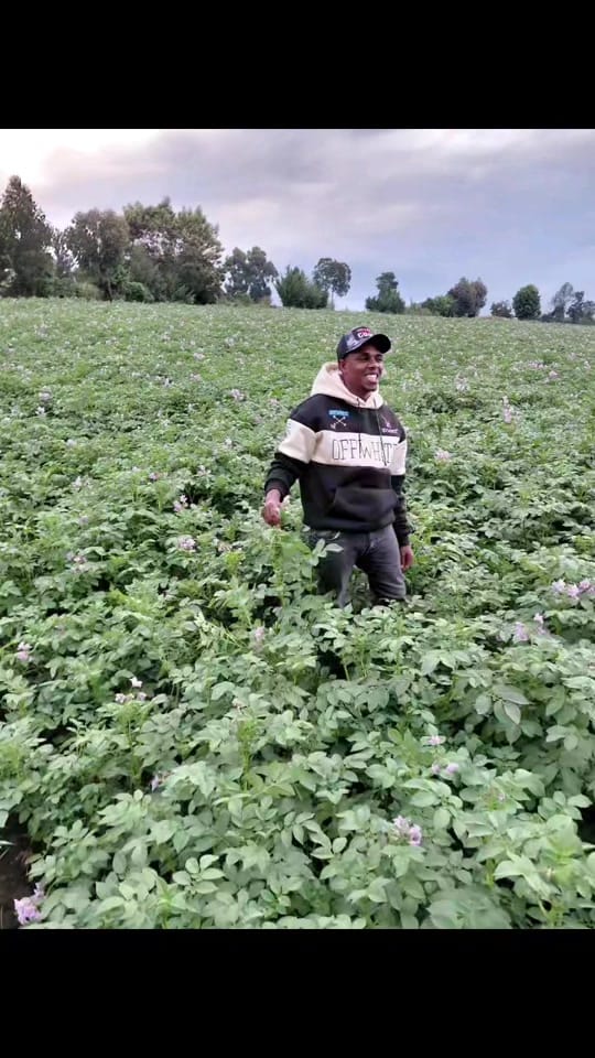 Post 5 by wa kimani on TikTok (video)