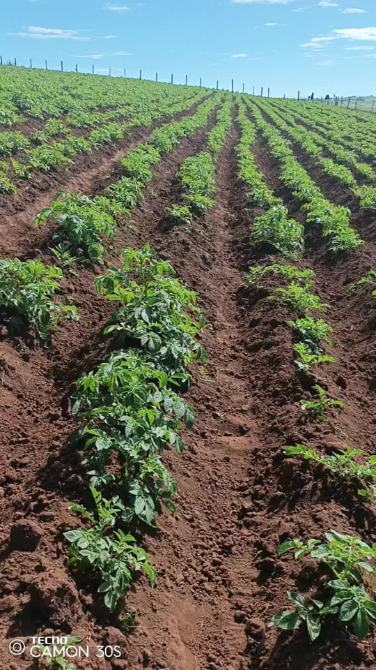 Post 3 by wa kimani on TikTok (video)