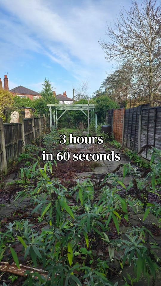 Post 4 by Tom Butler on TikTok (video)