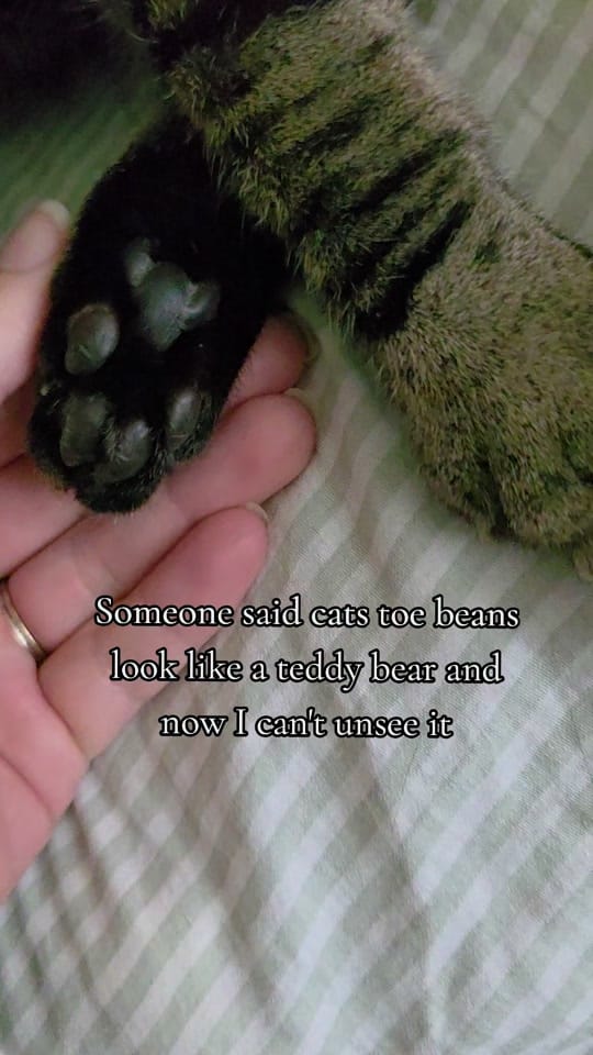 Post 8 by Tammy on TikTok (video)