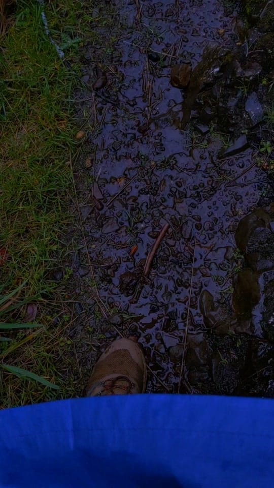 Post 10 by DDarkfantasy on TikTok (video)