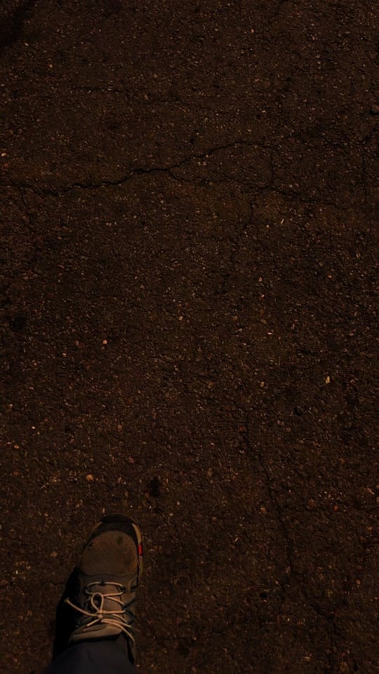 Post 5 by DDarkfantasy on TikTok (video)