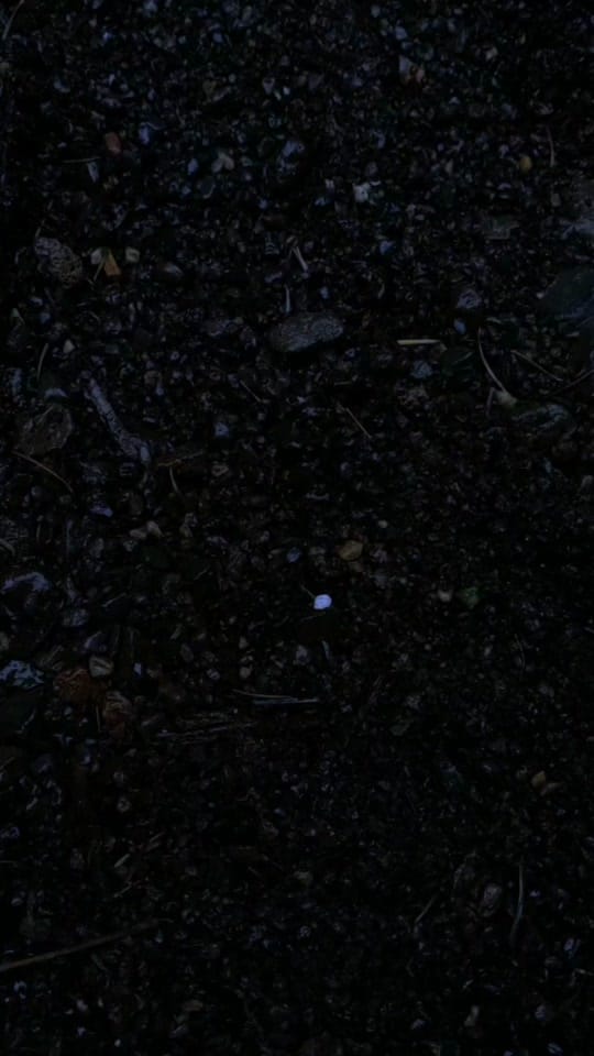 Post 8 by DDarkfantasy on TikTok (video)