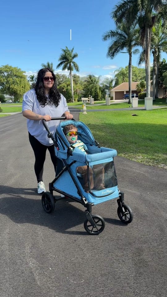 Post 8 by Dani | Toddler Mom & UGC on TikTok (video)